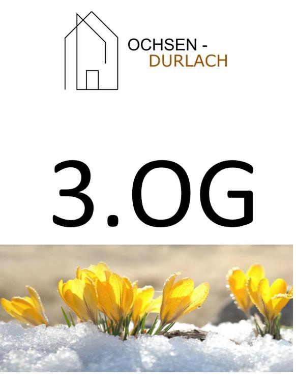 Ochsen-Durlach Karlsruhe Pokoj fotografie