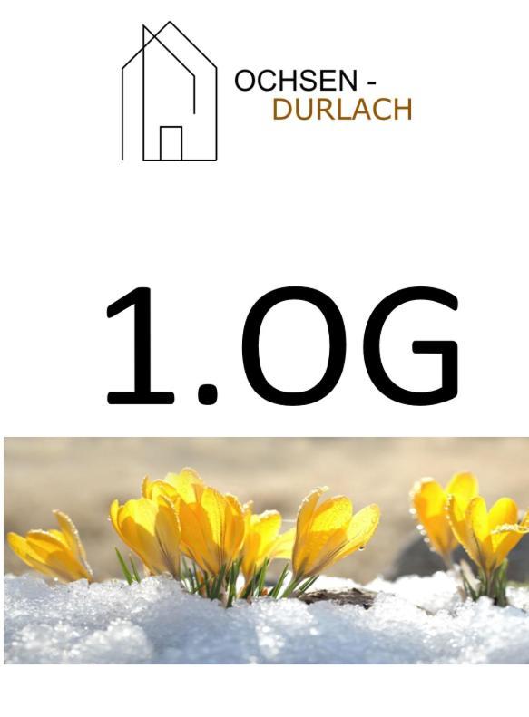 Ochsen-Durlach Karlsruhe Exteriér fotografie